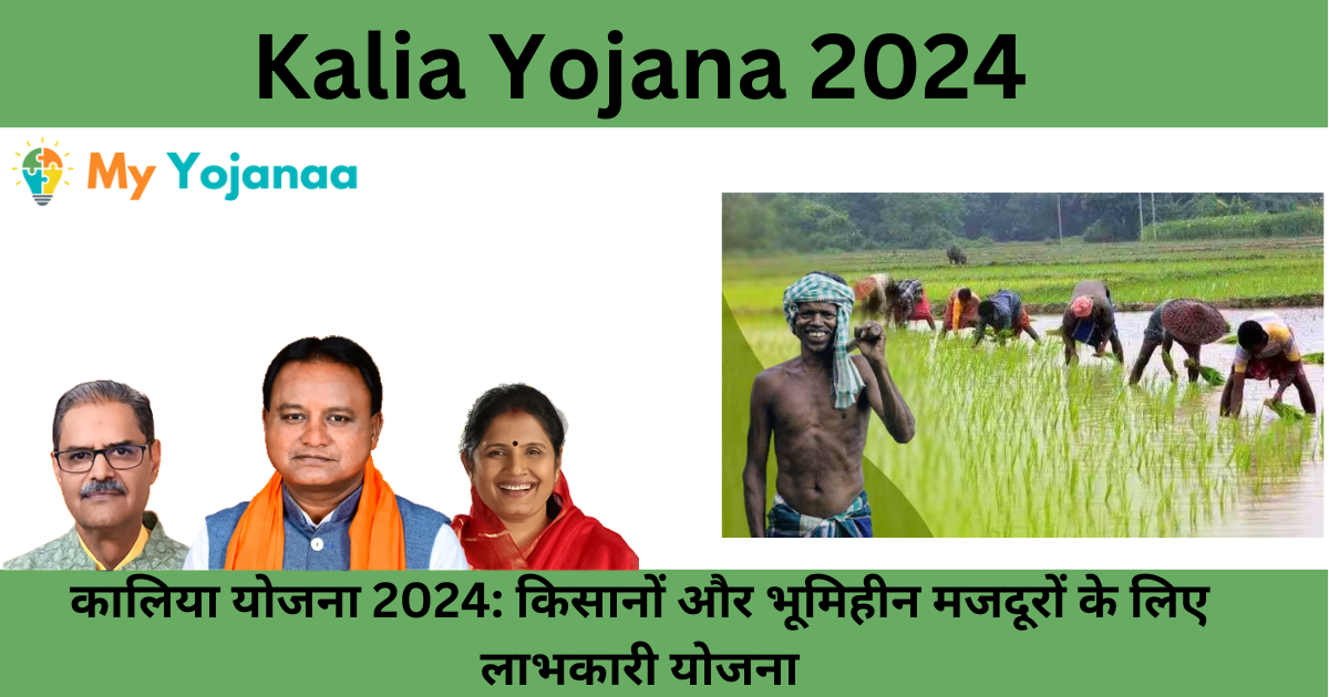 Kalia Yojana